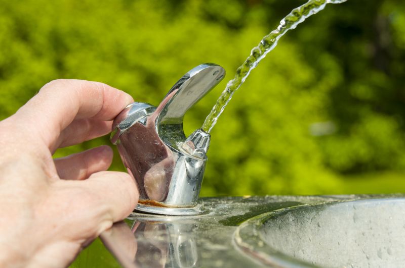 Mid-Year Fountain Inspection