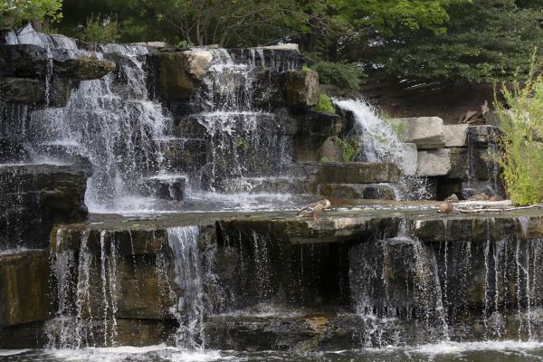 Fountain Restoration
